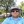 Author Profile Photo